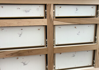 Sacramento Cabinet Refacing